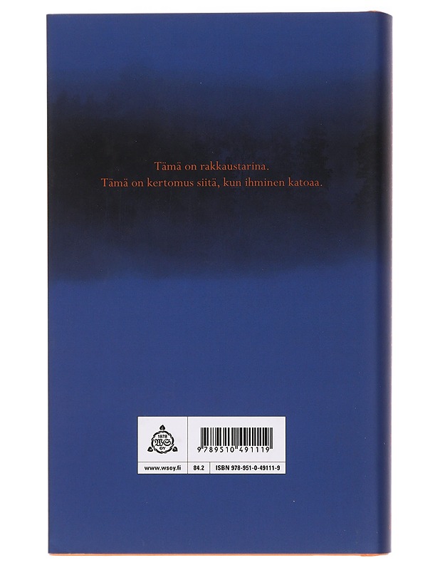 Kakspuusaari - Iikka Hackman - Romaanit ja novellit - 10105442444 - 1