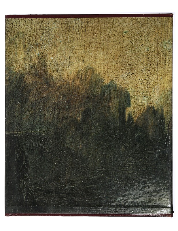 Leonardo : Leonardo da Vincin taide - Marani, Pietro C. - Historiakirjat - 10105442830 - 3