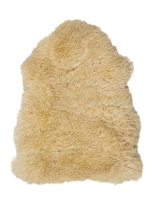 Talja, 47 X 63 cm - Matot - 10105442890 - 0