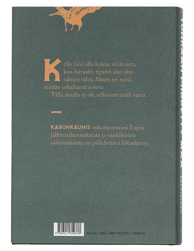 Tuhkaan piirretty maa - Petra Rautiainen - Romaanit ja novellit - 10105443079 - 1