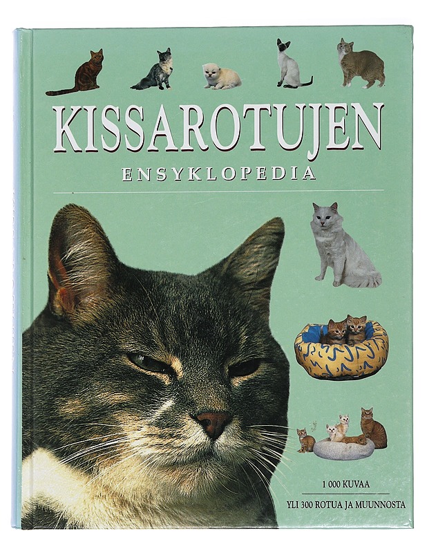 Kissarotujen ensyklopedia - Pollard, Michael - Tietokirjat ja oppaat - 10105443560 - 0