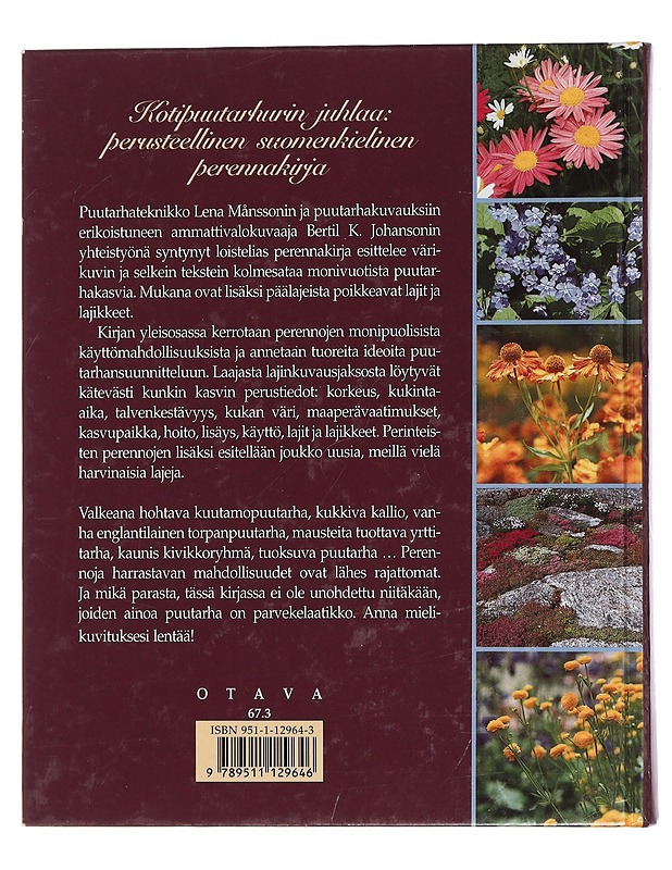 Perennat : kotipuutarhan kauneimmat koristekasvit - Månsson, Lena - Tietokirjat ja oppaat - 10105443695 - 1