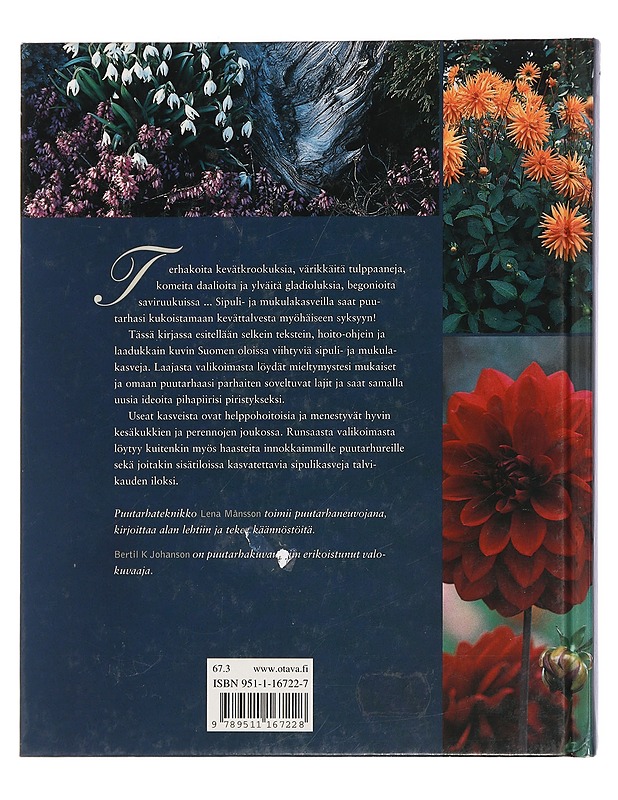 Sipulit & mukulat keväästä syksyyn - Månsson, Lena - Tietokirjat ja oppaat - 10105443784 - 1