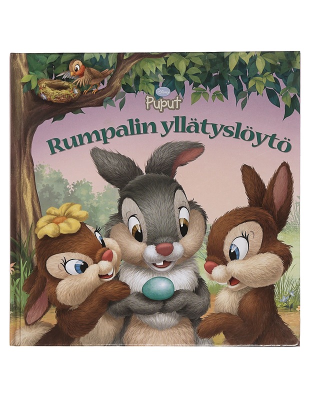 Rumpalin yllätyslöytö - Driscoll, Laura - Lastenkirjat - 10105443800 - 0