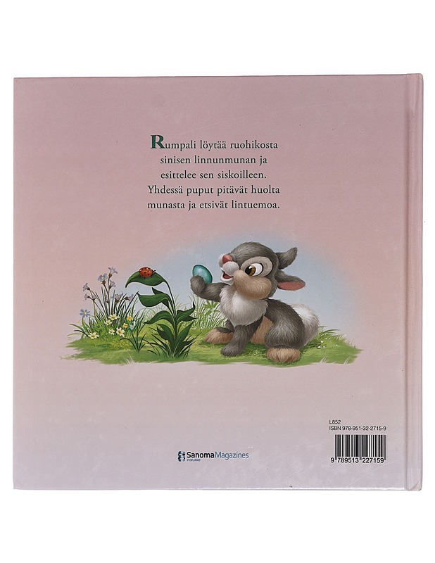 Rumpalin yllätyslöytö - Driscoll, Laura - Lastenkirjat - 10105443800 - 1