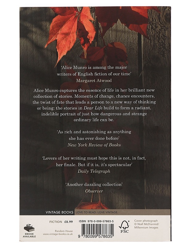 Dear Life - Munro, Alice - Romaanit ja novellit - 10105444014 - 1