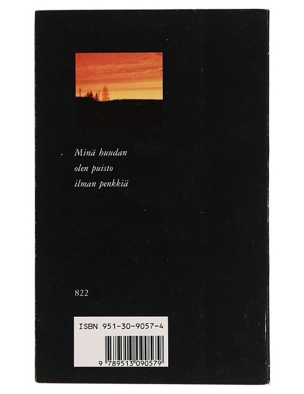 Puisto ilman penkkiä : runoja - Teemu Hirvilammi - Kaunokirjallisuus - 10105444018 - 1