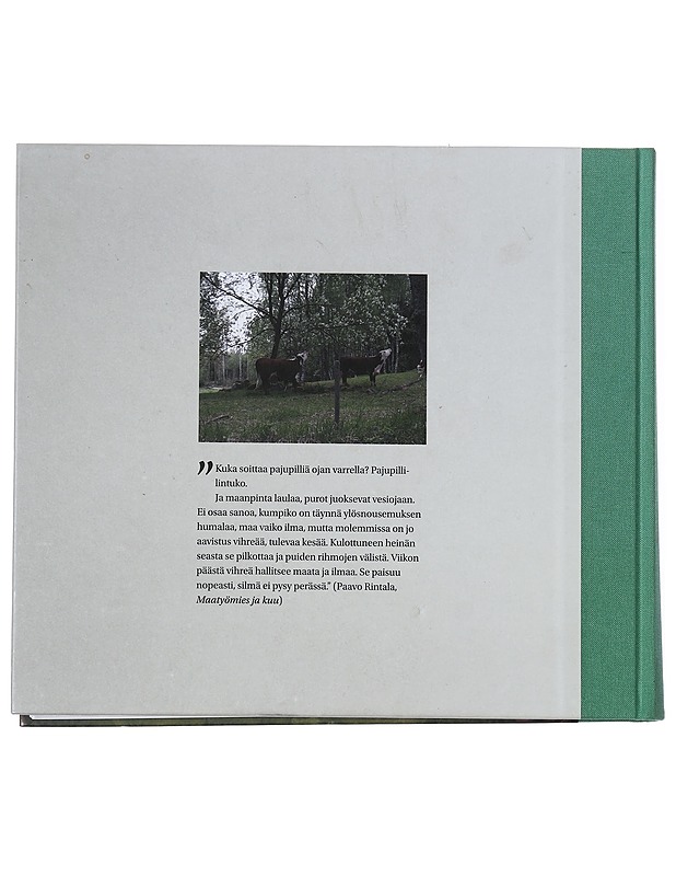 Thorsvik 1912 - 2012 : kirjoituksia - Herlin, Anna - Historiakirjat - 10105444311 - 1