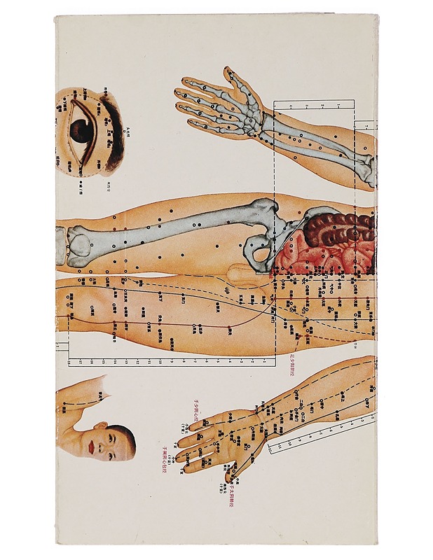 Akupunktio - Yeung, Lai Yin - Tietokirjat ja oppaat - 10105444316 - 1