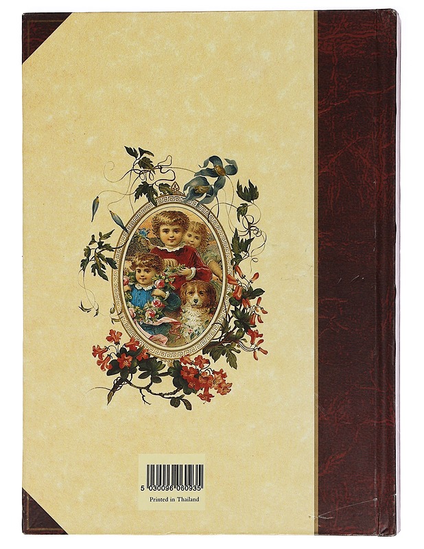 The Victorian Photograph Album - Harrastekirjat - 10105444518 - 1