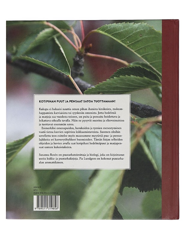 Leikkaa hedelmäpuut ja marjapensaat - Rosén, Susanna - Tietokirjat ja oppaat - 10105444523 - 1