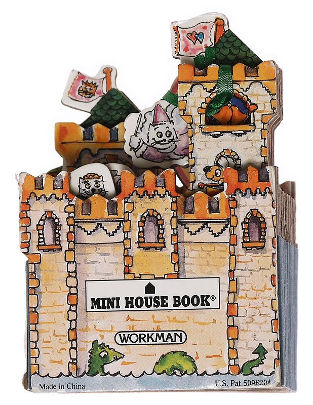 The enchanted castle - Peter Lippman - Lastenkirjat - 10105444592 - 1