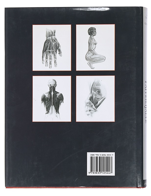 Ihmisen anatomiaa taiteilijalle - Szunyoghy, András - Tietokirjat ja oppaat - 10105444720 - 1