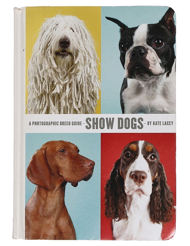 Show Dogs: A Photographic breed guide - Lacey, Kate - Tietokirjat ja oppaat - 10105444740 - 0