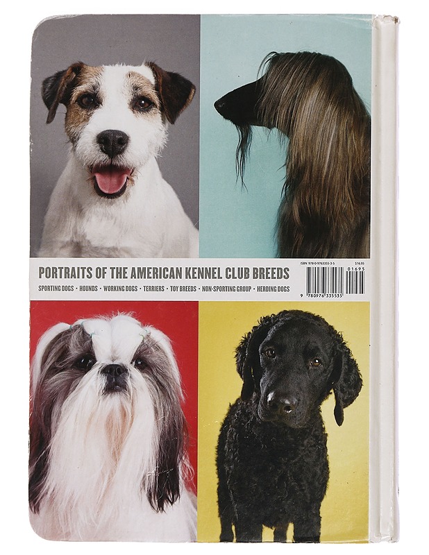 Show Dogs: A Photographic breed guide - Lacey, Kate - Tietokirjat ja oppaat - 10105444740 - 1
