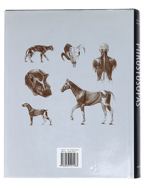 Anatomian piirustusopas : ihminen, eläin, vertaileva anatomia - Fehér, György - Tietokirjat ja oppaat - 10105444749 - 1