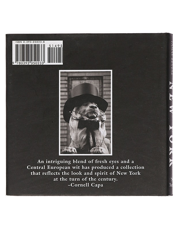 New York - Revesz, Tamas - Tietokirjat ja oppaat - 10105445037 - 1