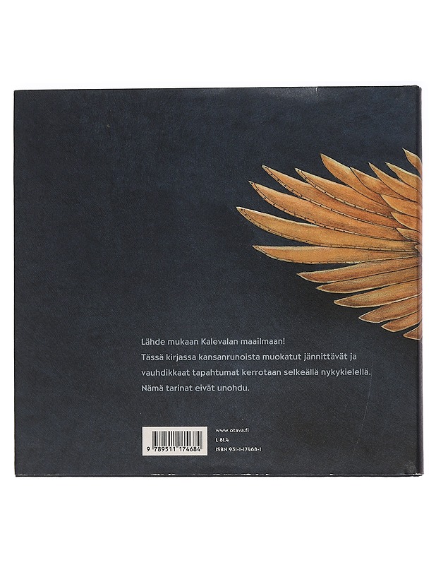 Suomen lasten Kalevala - Mäkinen, Kirsti - Lastenkirjat - 10105445146 - 1