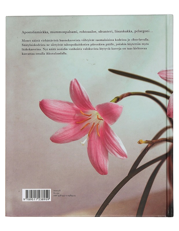 Hienohelma ja vanhapoika : rakkaat huonekasvit - Ranta, Anu - Harrastekirjat - 10105445517 - 1