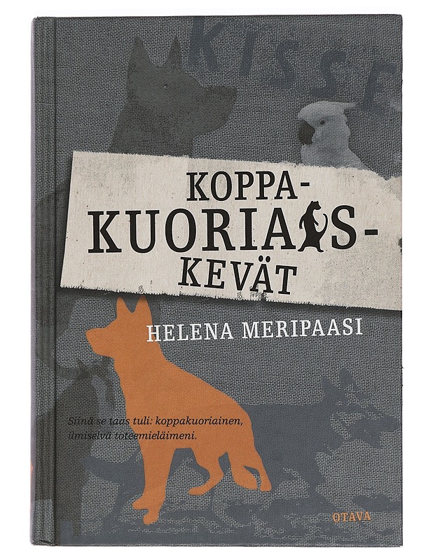 Koppakuoriaiskevät - Helena Meripaasi - Nuorten kirjat - 10105445778 - 0