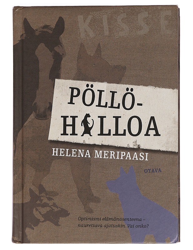 Pöllöhilloa - Helena Meripaasi - Nuorten kirjat - 10105445781 - 0