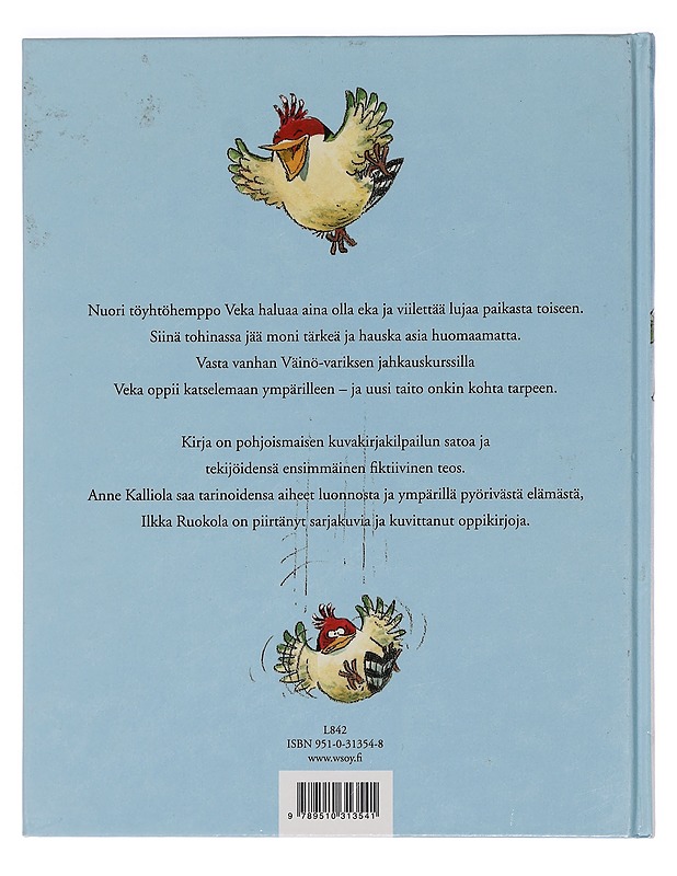 Veka viilettää - Kalliola, Anne - Lastenkirjat - 10105445799 - 1