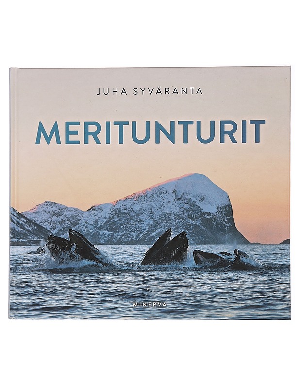 Meritunturit - Syväranta, Juha - Tietokirjat ja oppaat - 10105445865 - 0