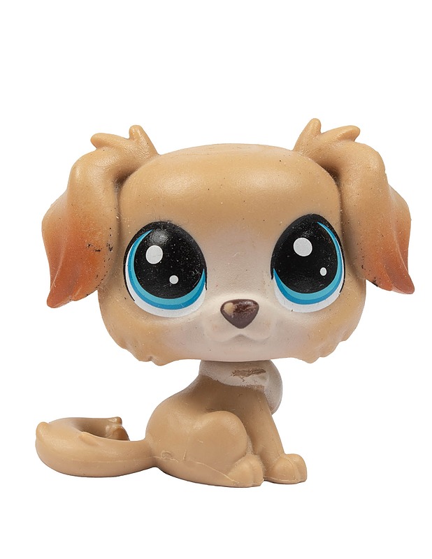LITTLEST PET SHOP  Kultainennoutaja figuuri - Lasten lelut - 10105445938 - 0
