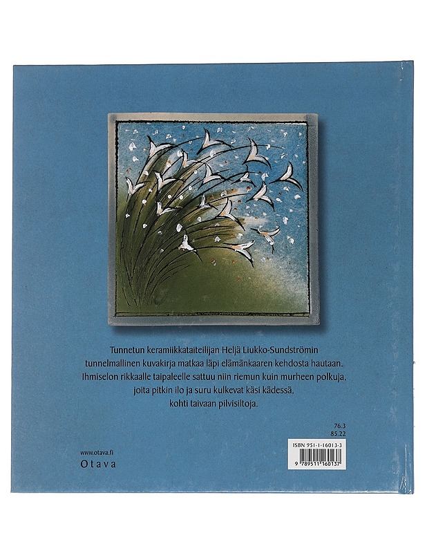 Korkealla päällä pilvien : puutarha sininen - Heljä Liukko-Sundström - Lastenkirjat - 10105446390 - 1