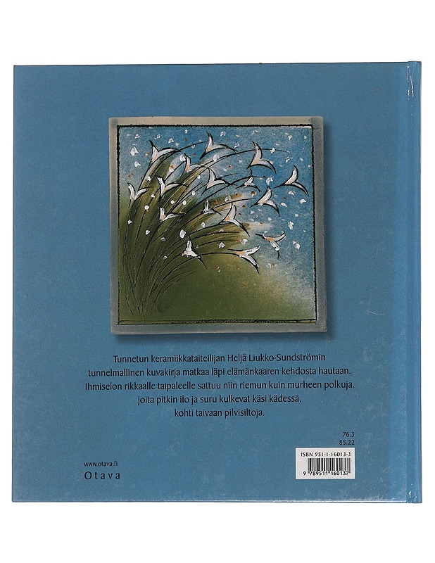 Korkealla päällä pilvien : puutarha sininen - Heljä Liukko-Sundström - Lastenkirjat - 10105446391 - 1