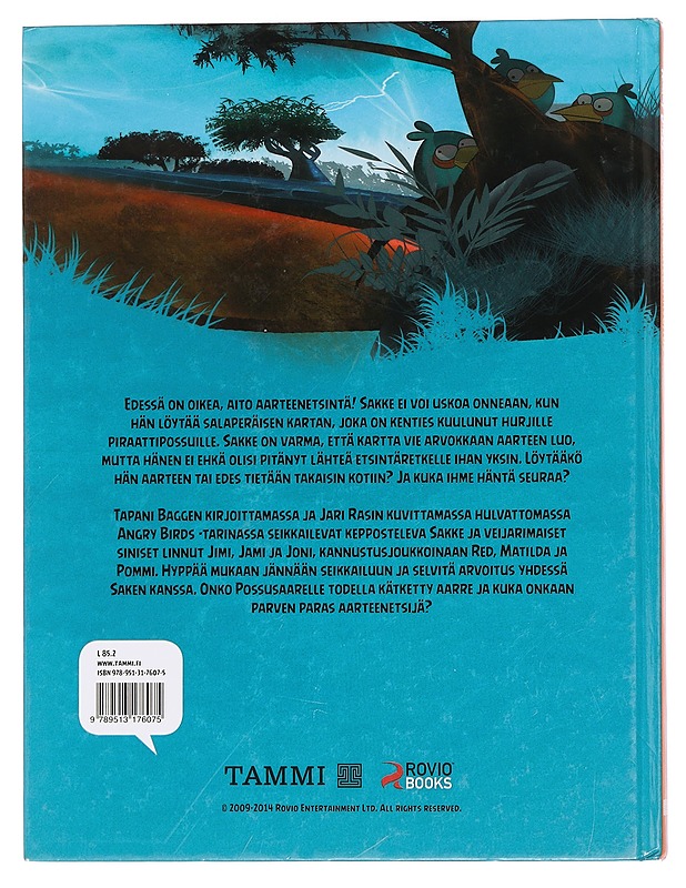 Kadonneen aarteen arvoitus - Bagge, Tapani - Lastenkirjat - 10105446431 - 1