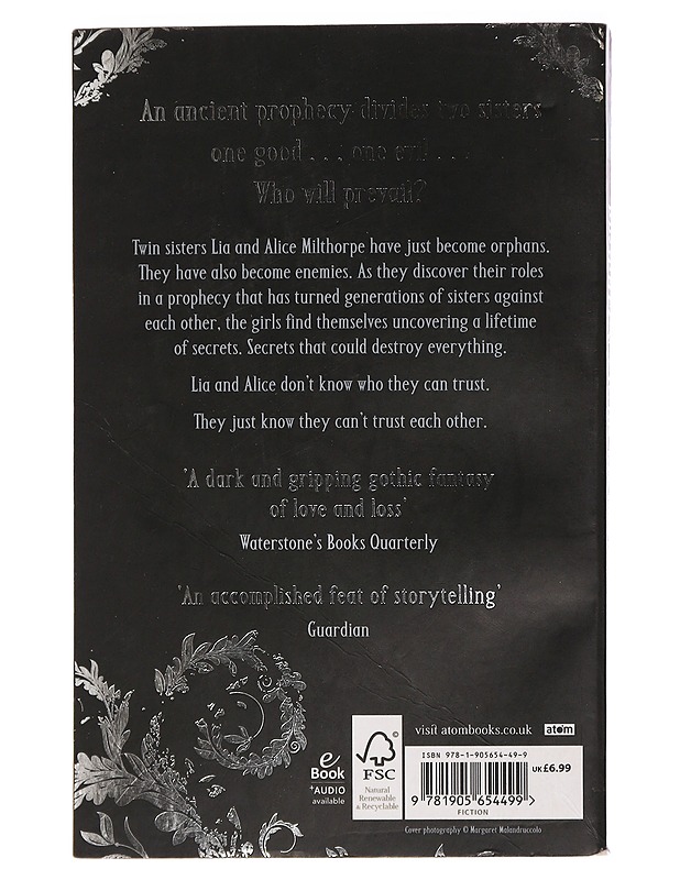 Prophecy of the Sisters - Michelle Zink - Kaunokirjallisuus - 10105446790 - 1