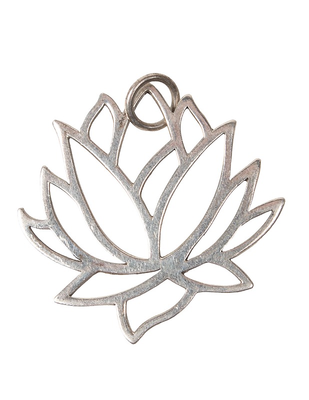 Hopeariipus lootus - Askartelu - 10105446905 - 0