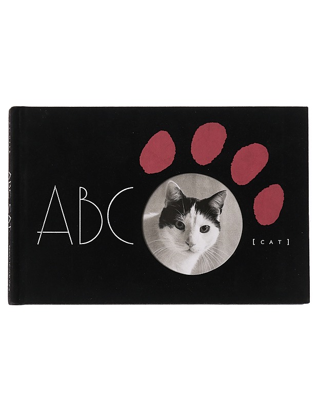 ABC Cat - Lorenz Kienzle - Taide- ja kulttuurikirjat - 10105447153 - 0