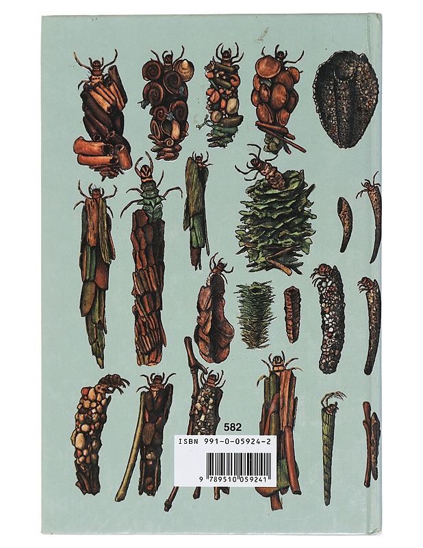 Vesiemme pikkueläimiä värikuvina - Mandajl-Barth, G. - Tietokirjat ja oppaat - 10105447200 - 1