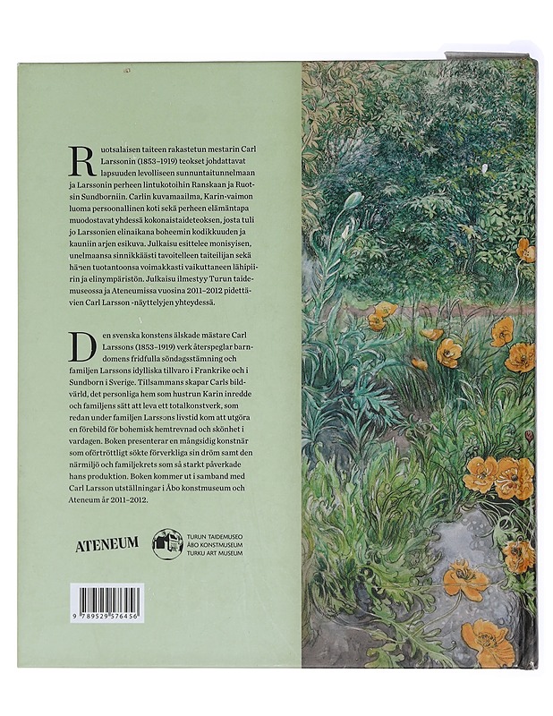 Carl Larsson - Larsson, Carl - Historiakirjat - 10105447311 - 1