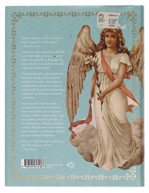 Enkelivuosi - Hjelt, Marjut - Romaanit ja novellit - 10105447533 - 1