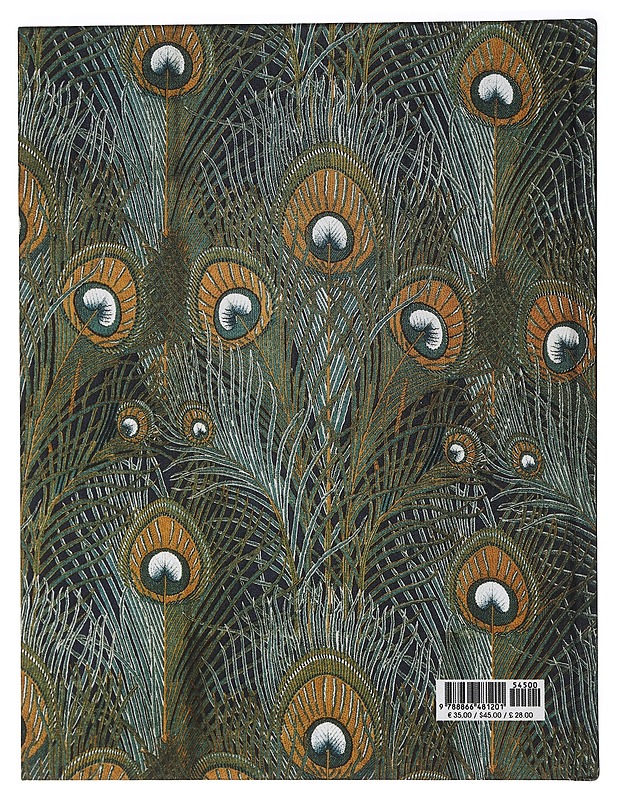 Art Nouveau: Between modernism and romantic nationalism - Matteo Fochessati - Harrastekirjat - 10105447589 - 1