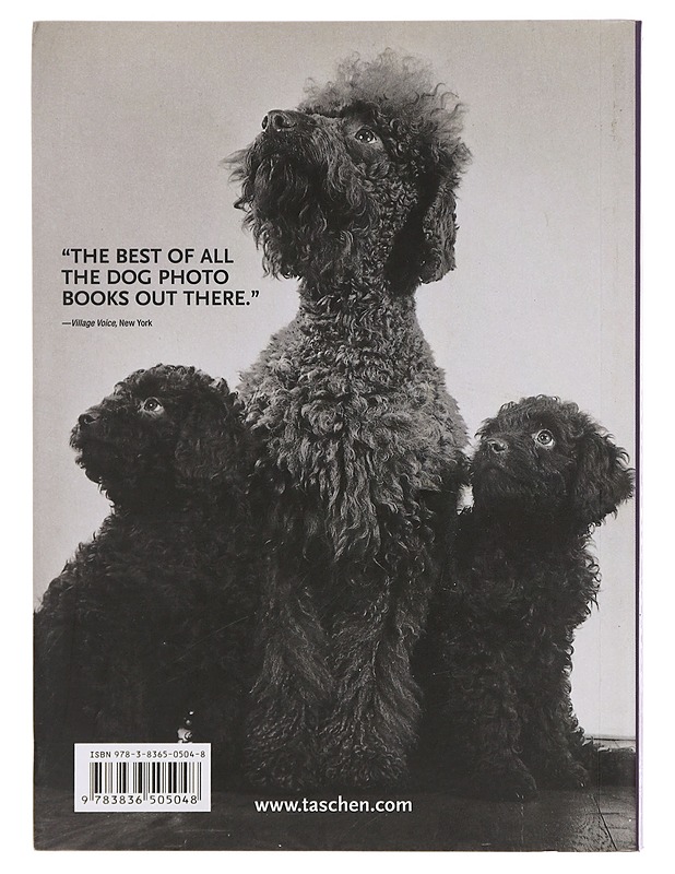 1000 dogs = 1000 Hunde = 1000 ciens - Merritt, Raymond W. - Tietokirjat ja oppaat - 10105447632 - 1