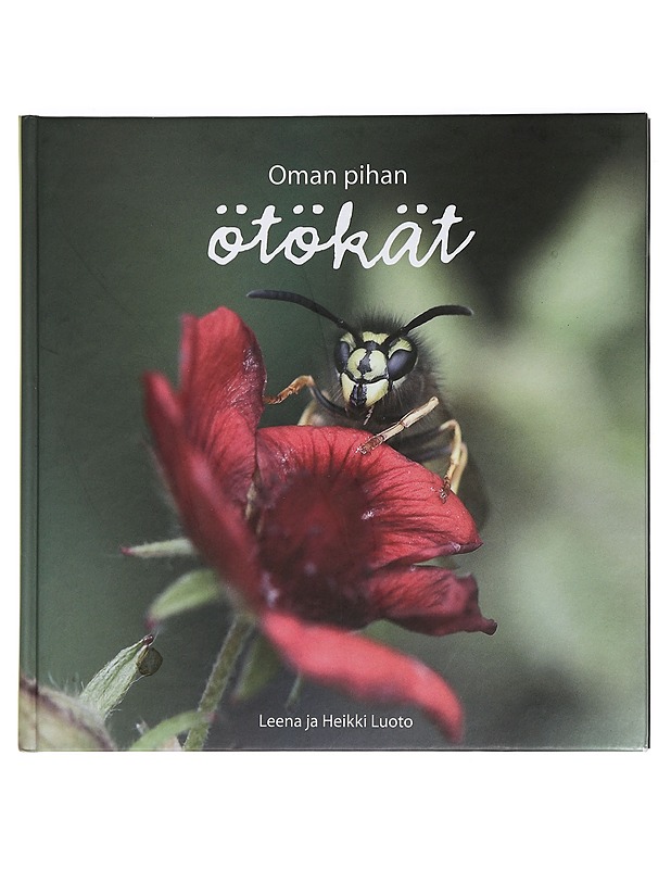 Oman pihan ötökät - Luoto, Leena - Tietokirjat ja oppaat - 10105447769 - 0