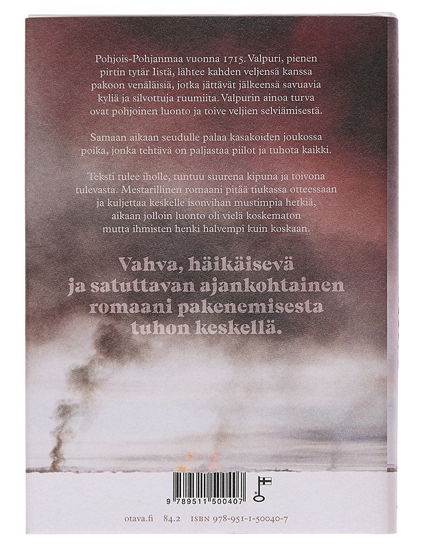 Vaino - Jenni Räinä - Romaanit ja novellit - 10105448174 - 1