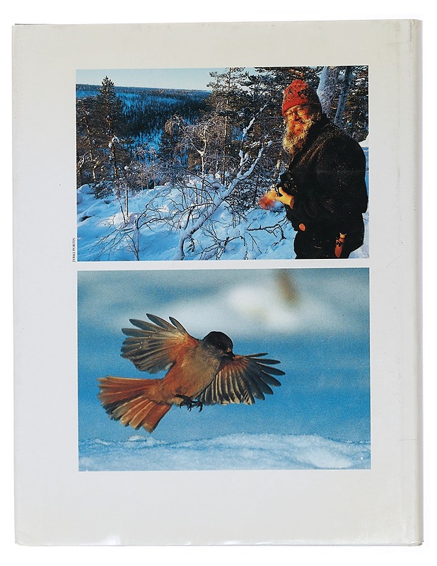 Taigametsän talvi : kuvia Koillismaalta - Hautala, Hannu - Tietokirjat ja oppaat - 10105448405 - 1