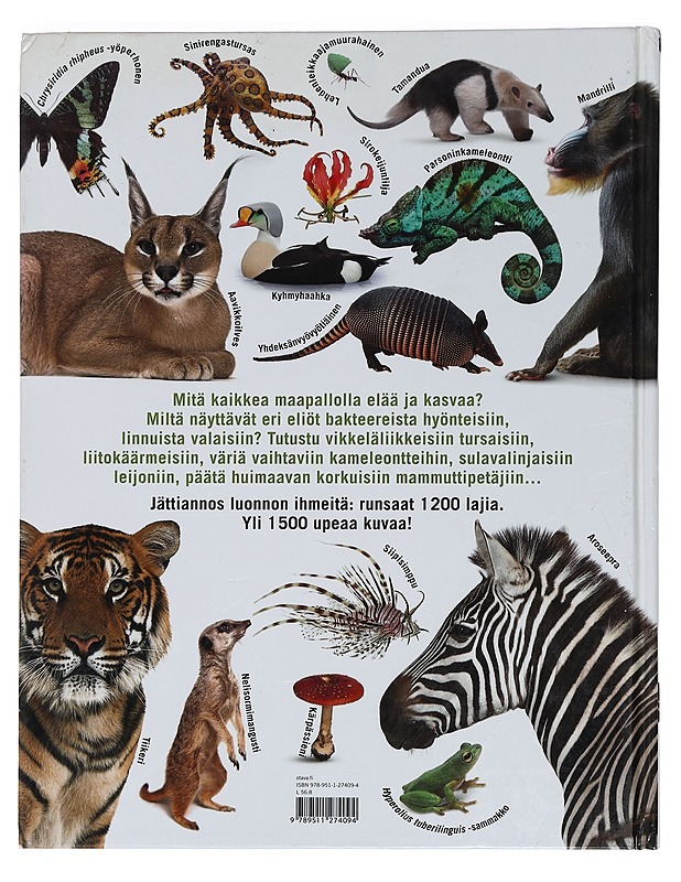 Iso luontokirja - Mills, Daniel - Tietokirjat ja oppaat - 10105449397 - 1