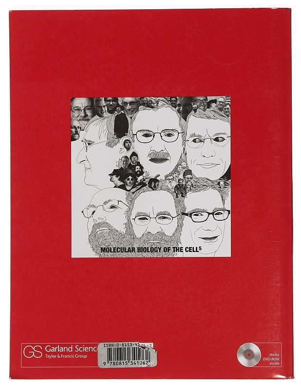 Molecular biology of the cell - Alberts, Bruce - Tietokirjat ja oppaat - 10105450143 - 1