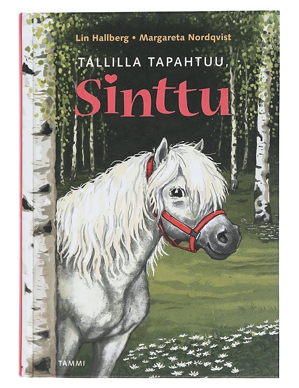 Tallilla tapahtuu, Sinttu - Hallberg, Lin - Lastenkirjat - 10105450160 - 0