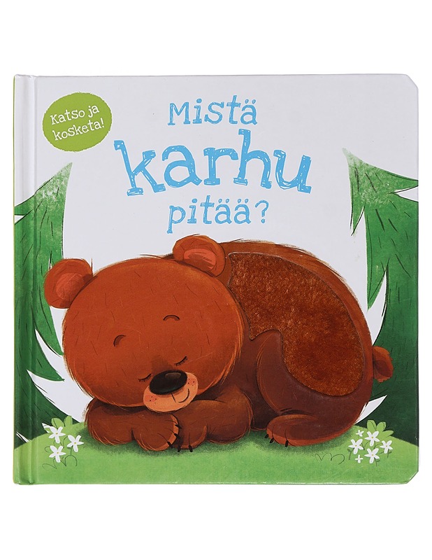 Mistä karhu pitää? - Mills, Daniel - Lastenkirjat - 10105450176 - 0