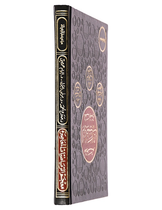 Nykymatematiikan sanakirja - Tietokirjat ja oppaat - 10105450186 - 1