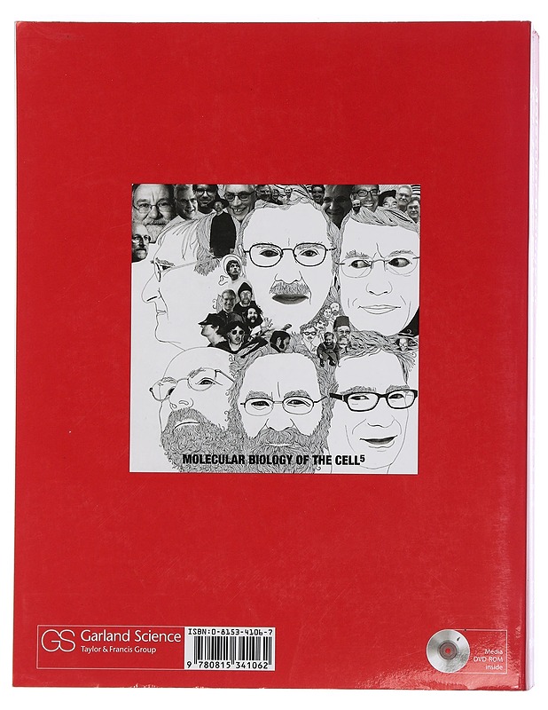 Molecular biology of the cell - Alberts, Bruce - Romaanit ja novellit - 10105450673 - 1