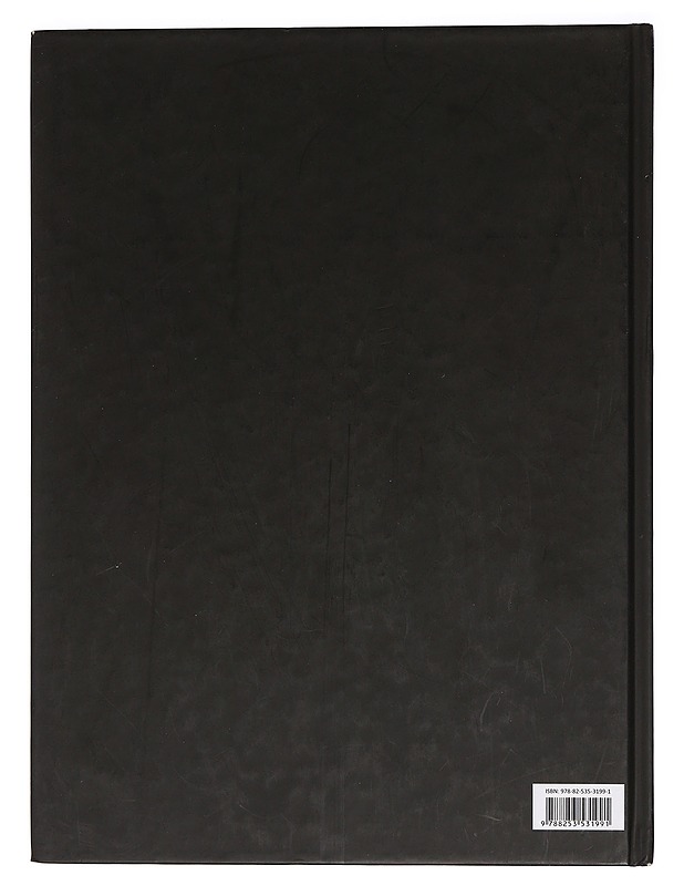 Kolmas valtakunta - Prien, Søren - Historiakirjat - 10105450866 - 1