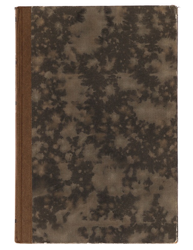 Wäinö havas: hengen ja miekan mies -  Paavo Viljanen - Romaanit ja novellit - 10105450905 - 0